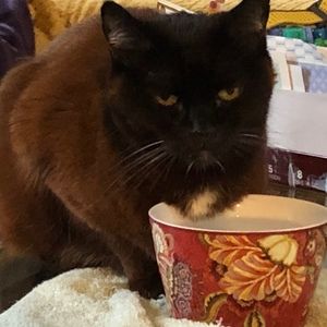 Meet your Posher, Jake